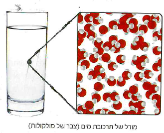 (בספר איור, היעזר במנחה)